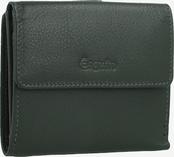 Esquire Wallet 'Viktoria' in Green