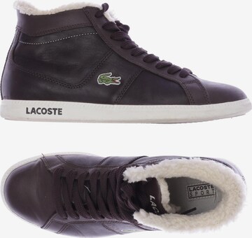 LACOSTE Sneakers & Trainers in 40 in Brown: front