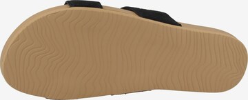 REEF Sandale ' Cushion Bounce Vista Studs ' in Schwarz