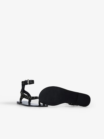 Scalpers Atenas Studs Sandal ' ' in Schwarz
