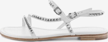 Kennel & Schmenger Strap Sandals ' ELLE ' in White: front