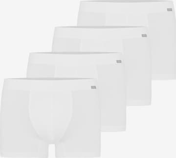 Hanro Boxershorts 'Cotton Essentials' in Weiß: Vorderseite