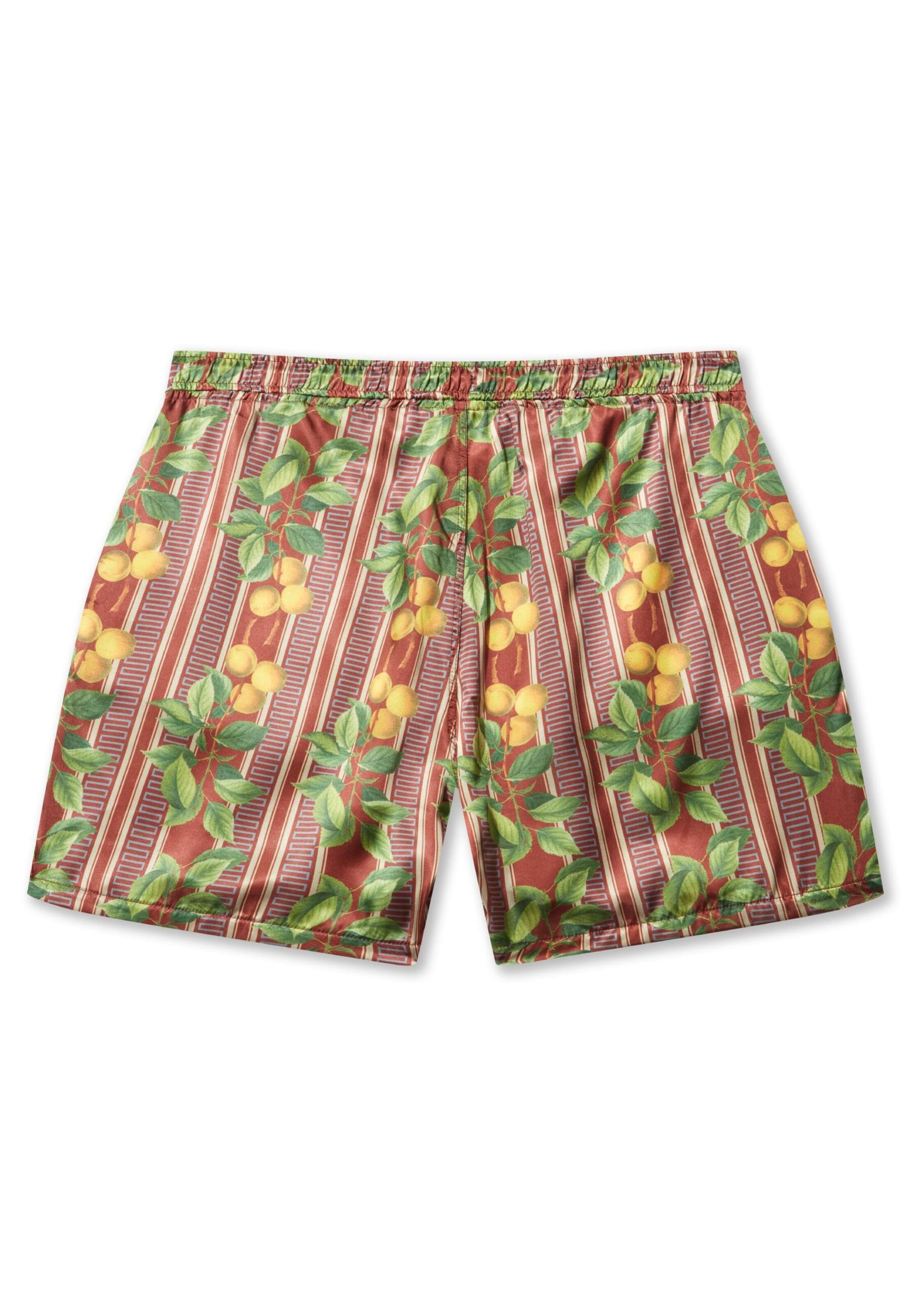 Pas De Monaco Regular Trousers 'Fruits Cuban' in Brown