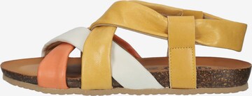 IGI&CO Sandals in Yellow