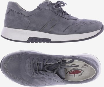 GABOR Sneakers & Trainers in 37,5 in Grey: front