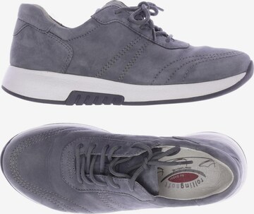 GABOR Sneaker 37,5 in Grau: predná strana