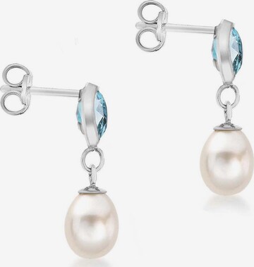 Lucardi Earrings 'Klassisch' in Silver