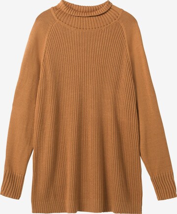 SHEEGO Sweater in Brown: front