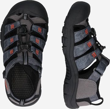 KEEN Sandalen 'NEWPORT' in Grijs