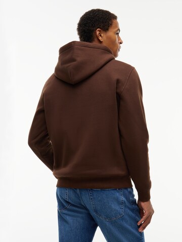 Tommy Jeans - Sweatshirt 'LINEAR' em castanho: atrás