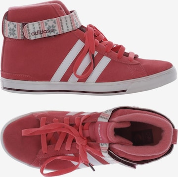 ADIDAS NEO Sneakers & Trainers in 39 in Pink: front