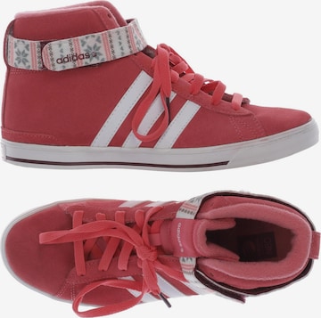 ADIDAS NEO Sneaker 39 in Pink: predná strana