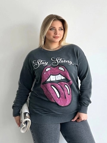 Stil Diva Pullover in Grau: Vorderseite