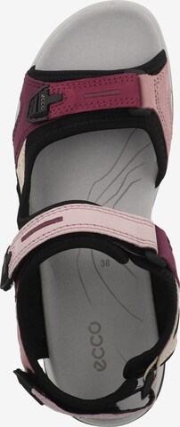 ECCO Hiking Sandals 'Offroad' in Pink