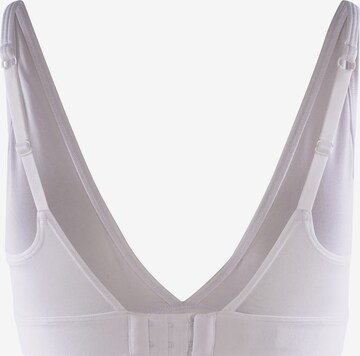 ADIDAS ORIGINALS Triangle Bra in White