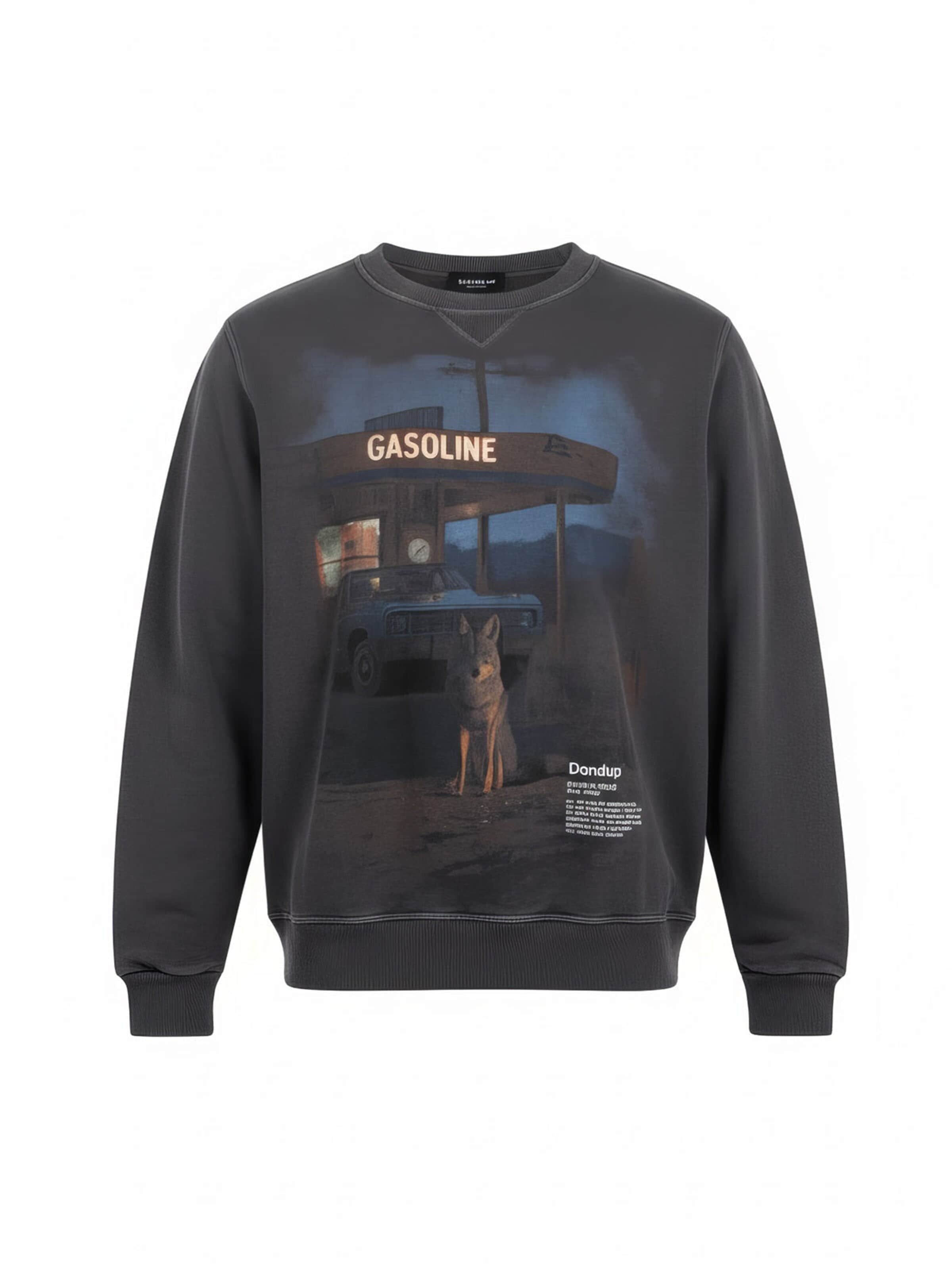 Dondup Sweatshirt‌‌‌‌‌‌‌‌‌‌ in Mischfarben: Vorderseite