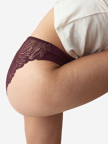 Slip TRIUMPH en violet