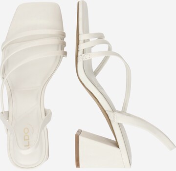 ALDO Sandal 'ATLANTICUS' i beige