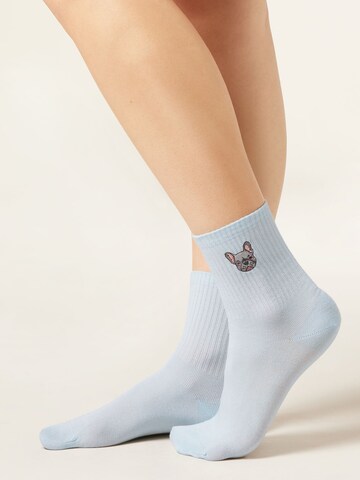 CALZEDONIA Socks 'Dog' in Blue: front
