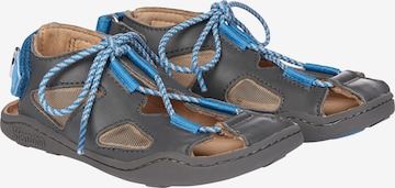 Affenzahn Sandals & Slippers 'HUND' in Grey