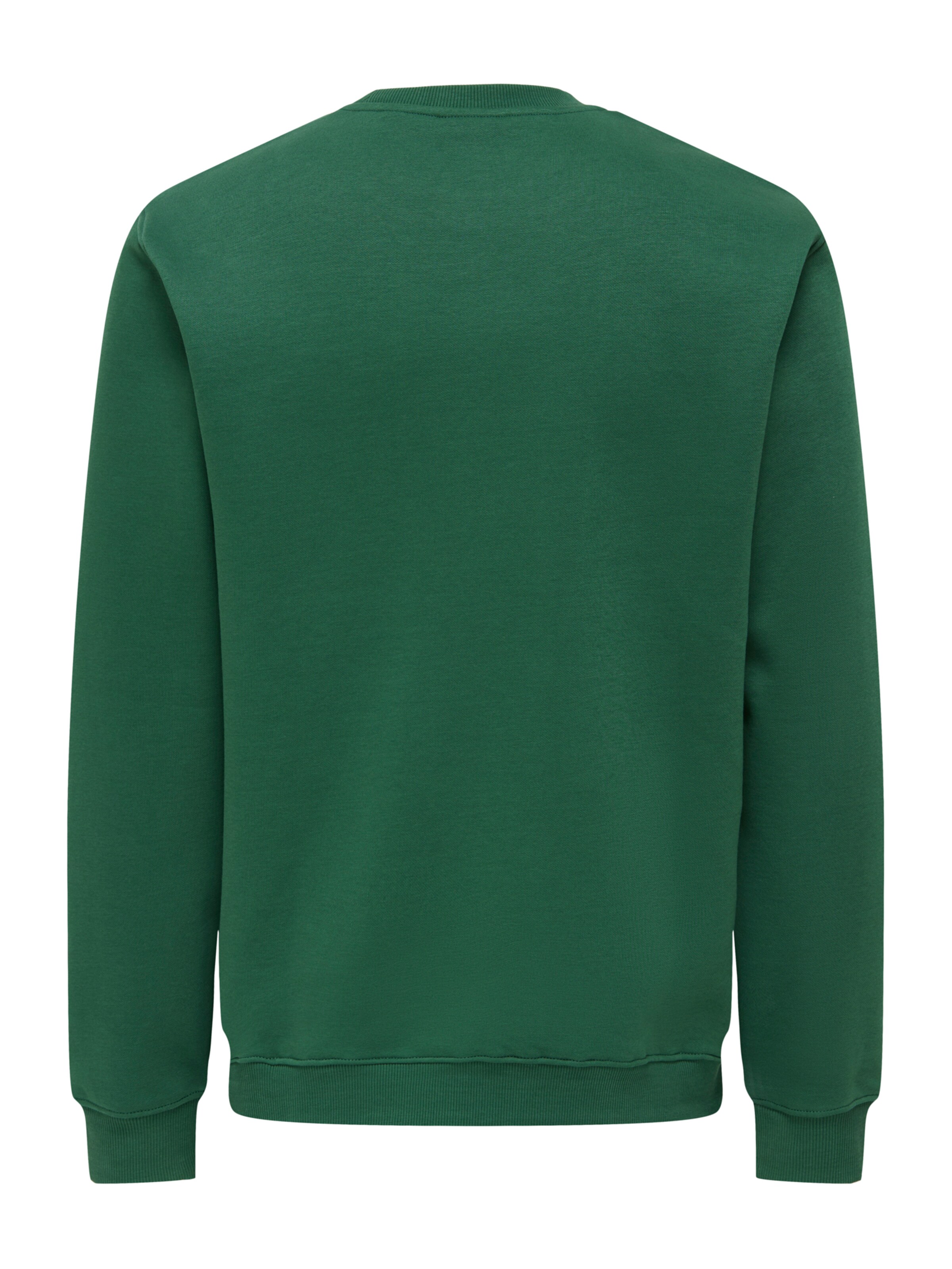 Bluză de molton 'ONSCONNOR' de la Only & Sons pe verde