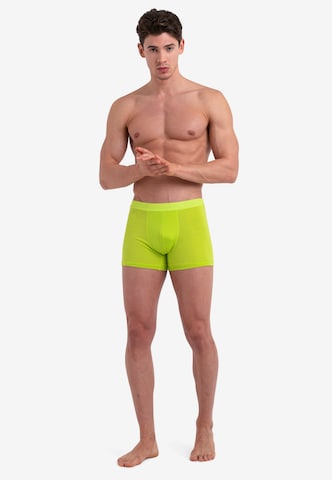 ICEBREAKER Boxer shorts 'Anatomica' in Yellow