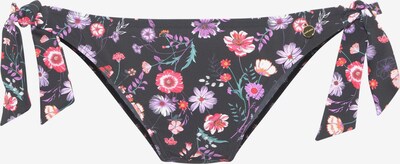 LASCANA Bikini donji dio u miks boja / crna, Pregled proizvoda