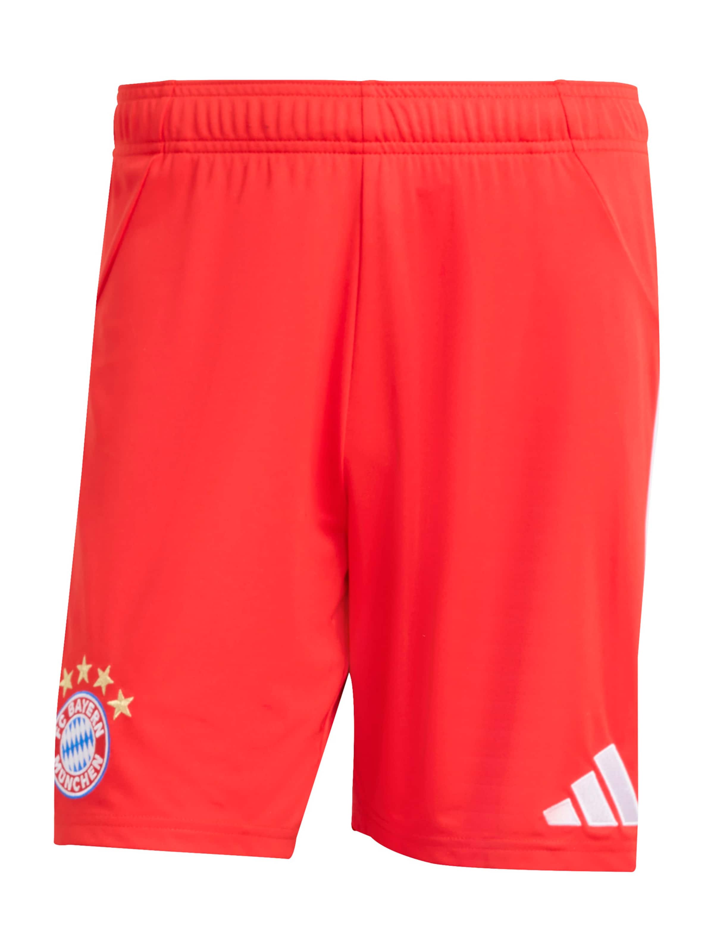 ADIDAS PERFORMANCE - regular Pantalón deportivo 'FCB' en rojo: frente