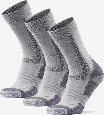 DANISH ENDURANCE Athletic Socks 'Hiking Classic' in Grey: front