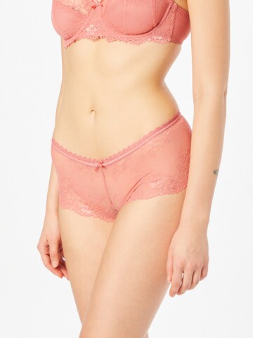 Panty di LingaDore in rosa: frontale