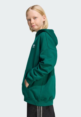 Felpa di ADIDAS ORIGINALS in verde