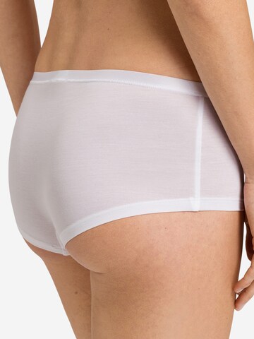 Hanro Panty 'Soft Touch'‌‌‌‌‌‌‌‌‌‌ in Weiß