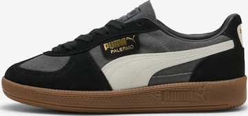 PUMA Sneakers 'Palermo' in Grey: front