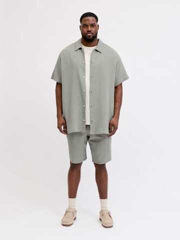 JACK & JONES Regular Fit Skjorte i grøn