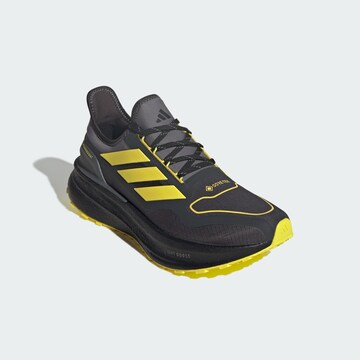 ADIDAS PERFORMANCE Laufschuh 'Ultraboost 5' in Grau