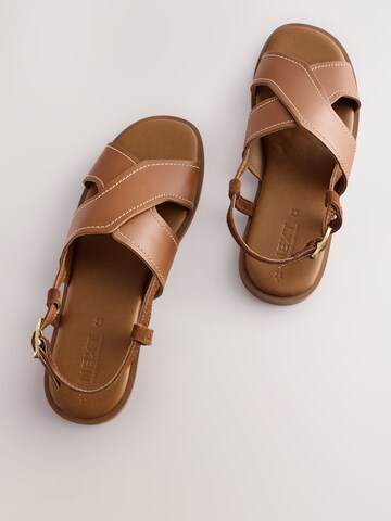 Next Sandals in Brown