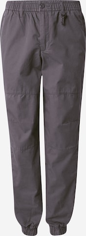 JACK & JONES - Pantalón 'JPSTKARL JJWALKER' en gris: frente