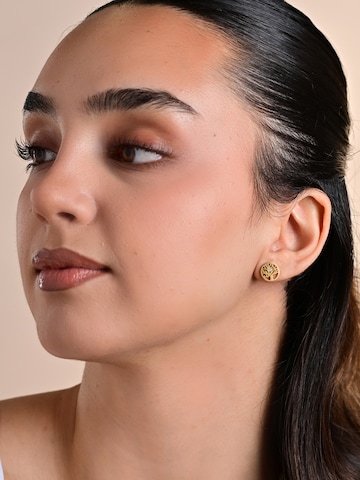Akzent Earrings 'Diyana, hautverträglich' in Gold: front