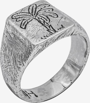 Haze&Glory Ring 'Tropicalization' in Silver: front