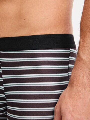 CALIDA Boxershorts 'Focus Trend'‌‌‌‌‌‌‌ in Braun