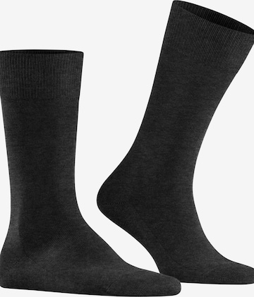 FALKE Socks 'Family' in Grey: front