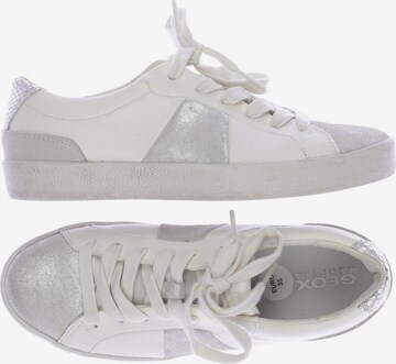GEOX Sneakers & Trainers in 35 in White: front