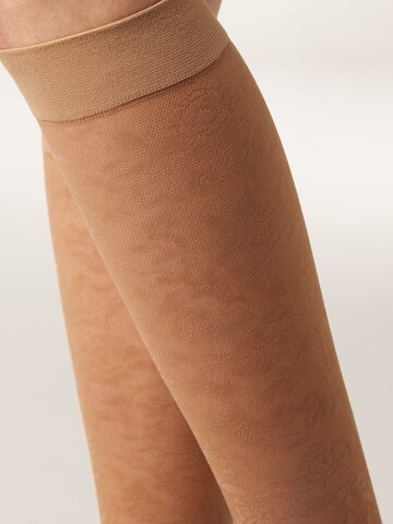 CALZEDONIA Knee High Socks in Beige