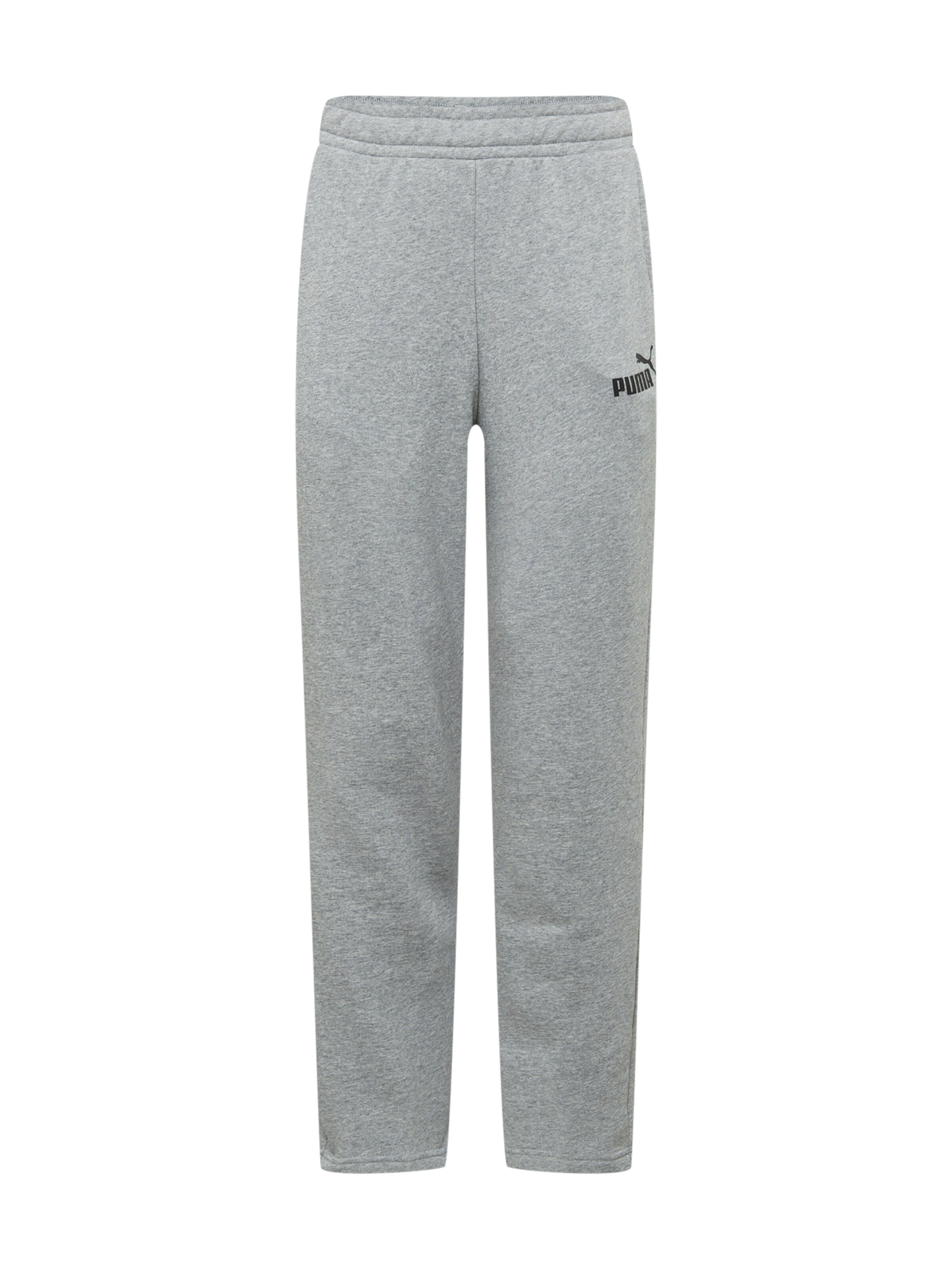 Pantaloni sportivi 'Essentials' di PUMA in grigio: frontale