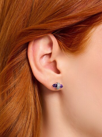 Thomas Sabo Earrings in Silver: front