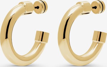 ESPRIT Earrings in Gold: front