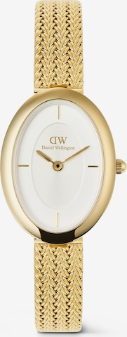 Daniel Wellington Analoguhr in Gold: Vorderseite