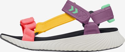 Hummel Sandales en jaune / vert / violet / rose néon / noir, Vue avec produit
