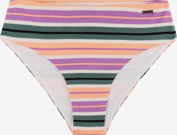 PROTEST Bikini Bottoms 'MIXKim' in Purple: front