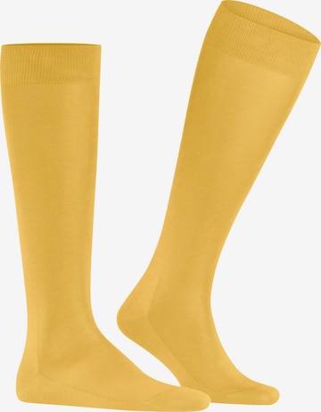 FALKE Knee High Socks 'Tiago' in Yellow: front